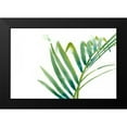 thumbnail image 2 of Vess, June Erica 18x13 Black Modern Framed Museum Art Print Titled - Palm Wonderful VI, 2 of 5
