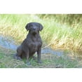 thumbnail image 2 of Hi-Line Gift 21.25" Brown Labrador Retriever Sitting Garden Statue, Durable, 2 of 5