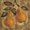 Unframed, variant on Art.com Pear Art Print by Silvia Vassileva, 16" x 16"
