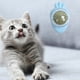 thumbnail image 3 of Con Hierba Gatera Y Zanahoria Golosinas Bolas Saludables para Lamer Suministros Gatos () Azul, 3 of 5