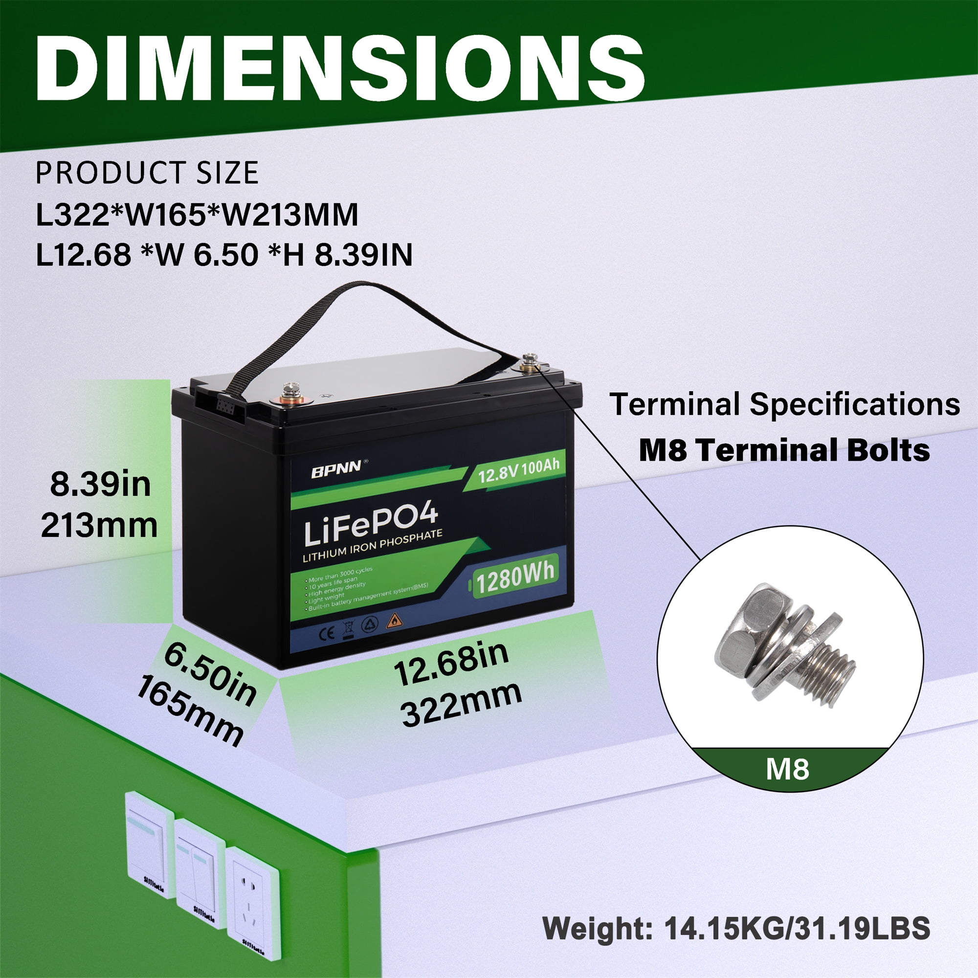 2Pack 12V 100AH LiFePO4 Battery Built-in 100A BMS 12V Lithium Battery for Home Back-up Power BPNN