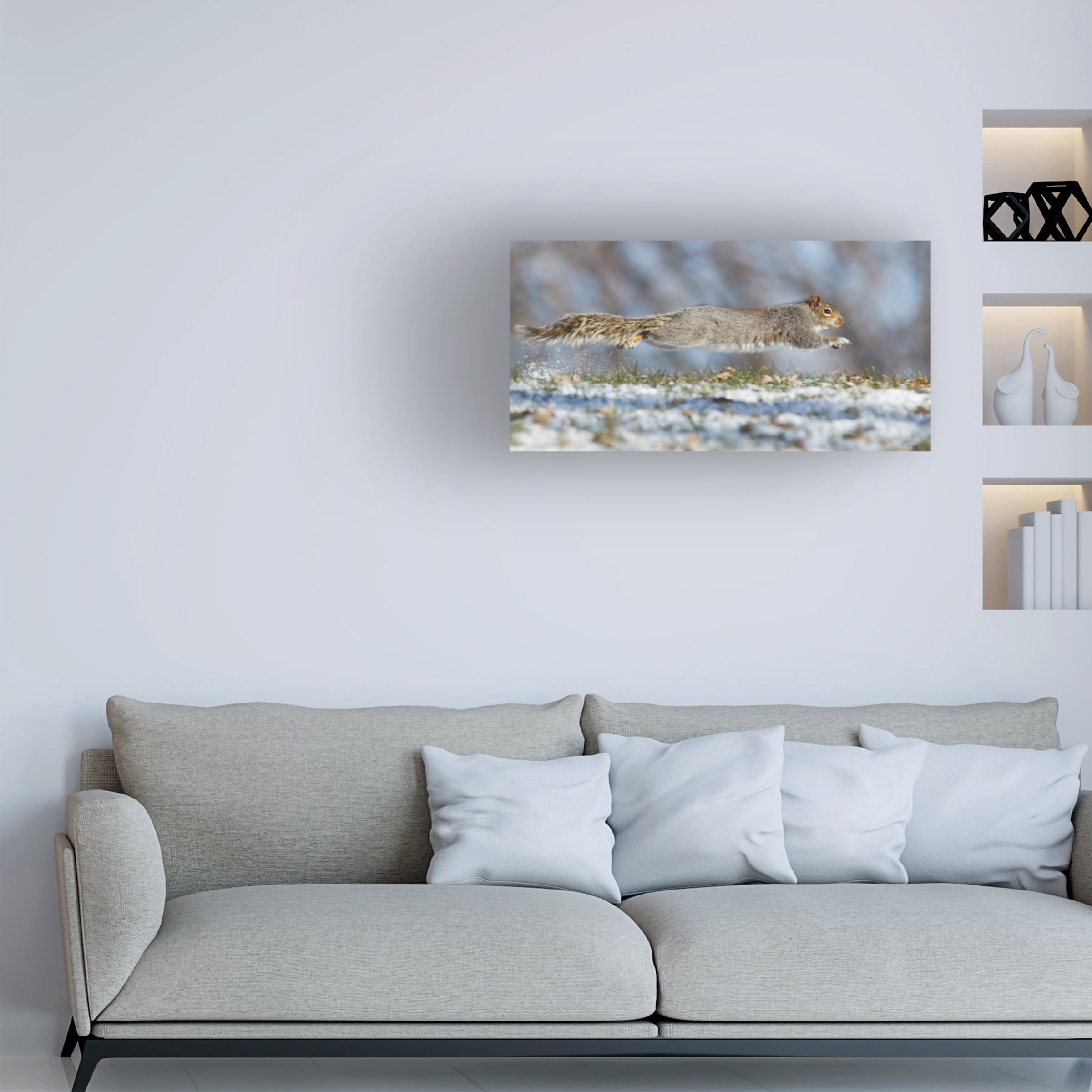 Mircea Costina 'High Speed Squirrel' Canvas Art