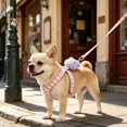 thumbnail image 2 of Miaoju Cat Vest Harness and Leash Set, Escape Proof Kitten Harness Adjustable Easy Wear Kitty Harness, Sturdy Clip Buckle, 2 of 5