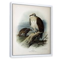 thumbnail image 3 of Designart 'Ancient Bird Life VI' Traditional Framed Canvas Wall Art Print, 3 of 5