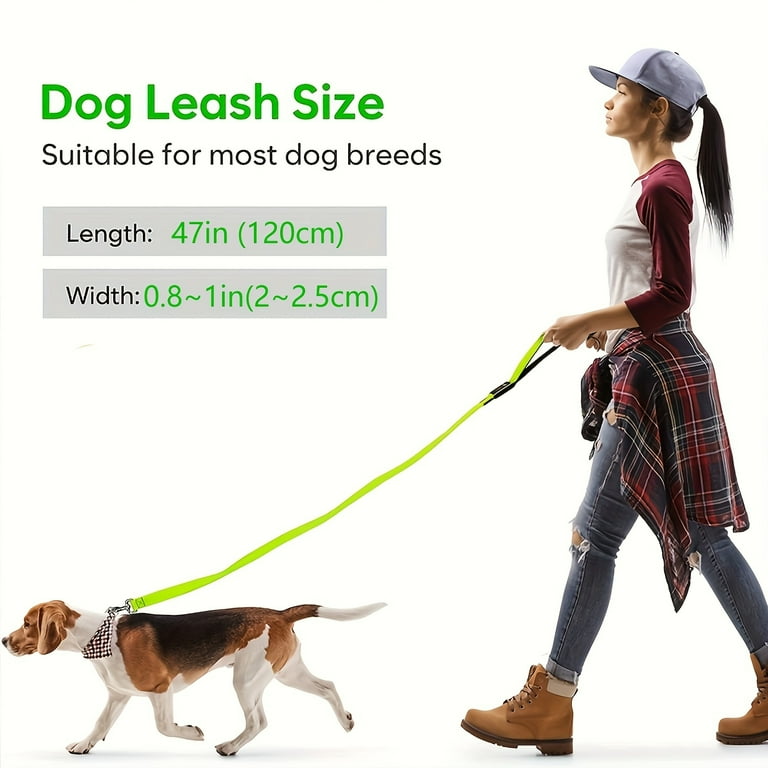 Illuminated Nighttime Safety Dog Leash High Visibility Glow in the Dark LED Durable Nylon Perfect for Evening Walks