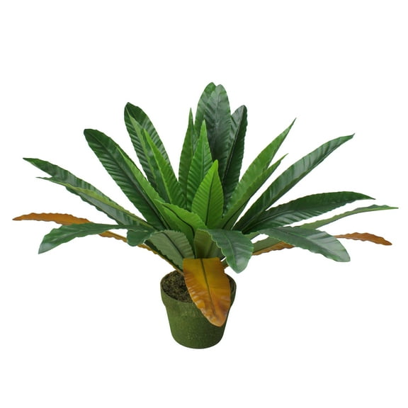 Northlight Two-Tone Bird Nest Fern Artificial Potted Plant - 22" - Green and Brown