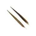 thumbnail image 3 of ZUCKER® 10 PC/PKG RINGNECK PHEASANT TAILS 18-20" - NATURAL, 3 of 4