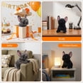 thumbnail image 5 of Realistic French Bulldog Stuffed Animal, 8.7" Lifelike Puppy Plush Toy, Super Soft Bulldog Pillow, 5 of 10