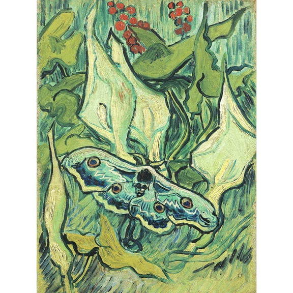 Vincent Van Gogh Emperor Moth Extra Large Art Print Wall Mural Poster Premium XL