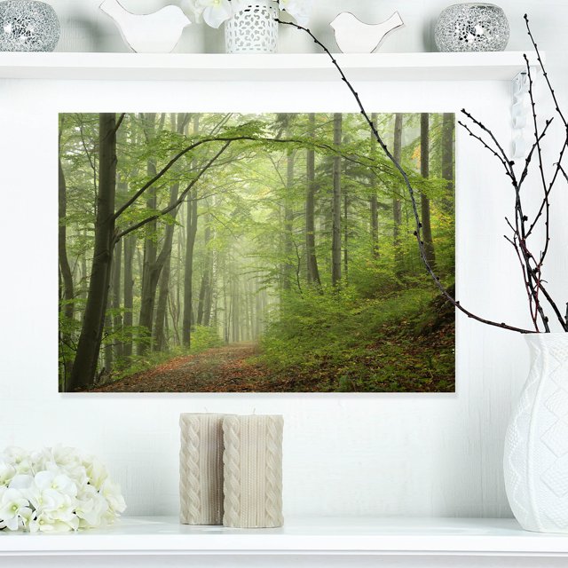 Forêt d'Automne Vert Précoce - Impression d'Art Photo Paysage sur Toile