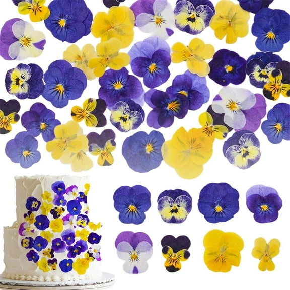 Triani 48Pcs 8 Kinds Natural Dried Pressed Flowers Purple Tricolor Floral Cupcake Toppers Decoration Making DIY Art Crafts Birthday Anniversary Decoration Supplies