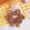 Coffee A, variant on CHUNTIAN Cute Bear Duck Hot Water Bottle Kawaii Plush Rubber Reusable Hand Foot Belly Warmer Explosion-proof Portable Hot Water Bags Gift