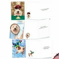 thumbnail image 5 of 10 Assorted Set Funny Birthday Greeting Cards - Shaggy Dogs - Funny Canines in Various Activities, 5 of 6