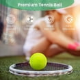 thumbnail image 2 of Pressure Tennis 12 Pack With Mesh Carry Bag, Tennis For Dogs, Highly Ity, 2 of 4