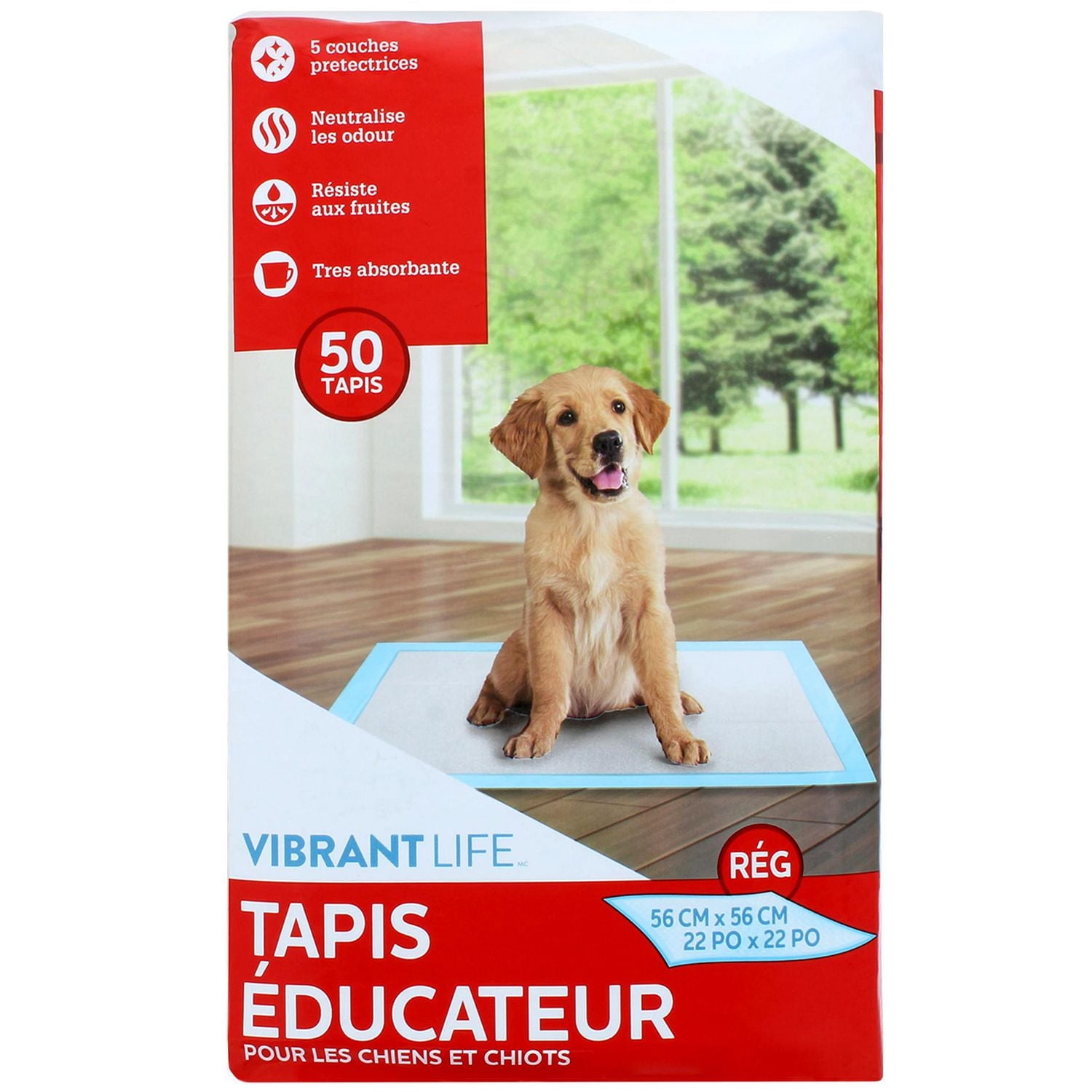 Tapis d’entraînement très  Vibrant Lif– 'L (56*56cm)' Plusieurs tailles d'emballage disponibles