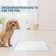 thumbnail image 3 of Pet Training Pads Dog Pee Pad Super Absorbent Protection Diaper for Dog, 3 of 4