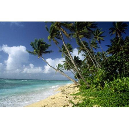 Fiji One of the Best Shelling Beaches in the World Print Wall