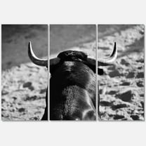 Designart ' Black and White Portrait Of A Spanish Bull II ' Farmhouse Canvas Wall Art Print