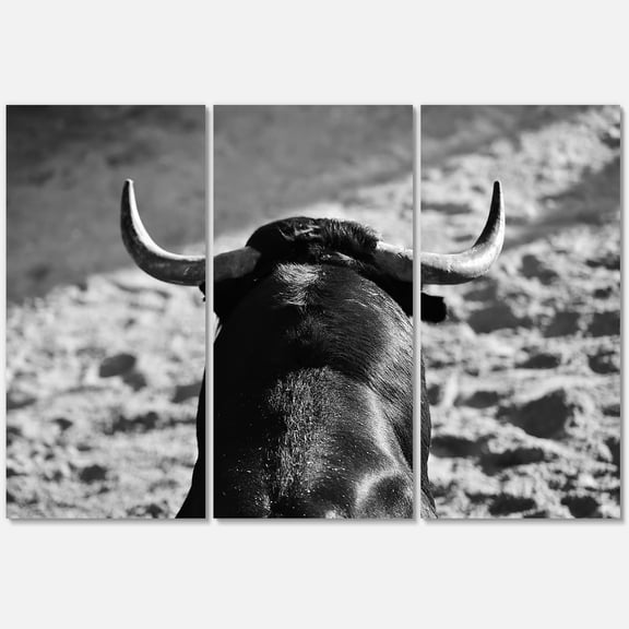 Designart ' Black and White Portrait Of A Spanish Bull II ' Farmhouse Canvas Wall Art Print