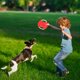thumbnail image 4 of Cuerda de tela,disco volador para mascotas,juguete de entrenamiento para perros,broche Juguete educativo para exteriores a prueba de dentición,juguete de tela resistente para mascotas,ideal para, 4 of 6