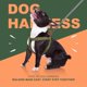 thumbnail image 5 of Step in Dog Harness with Metal Buckles, Freedom Nylon Dog Halter Vests for Small, 5 of 5