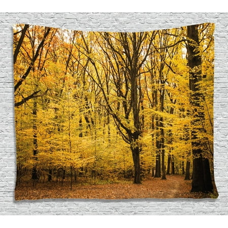 Fall Decorations Tapestry, Epic View Deep Down in Forest with Shady Leaves Rural Habitat Scene, Wall Hanging for Bedroom Living Room Dorm Decor, 60W X 40L Inches, Yellow Brown, by