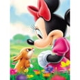 thumbnail image 1 of Diamond Painting (DB0653) 5D DIY Square Mouse Ardilla para decoración del hogar 20X30cm Hugtrwg Para estrenar, 1 of 1