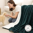 thumbnail image 4 of IR Imperial Rooms Sherpa Bed Blanket Soft Thick & Warm Fluffy Plush Winter Fleece Reversible Lightweight Throw (50x60) Emerald Green, 4 of 7