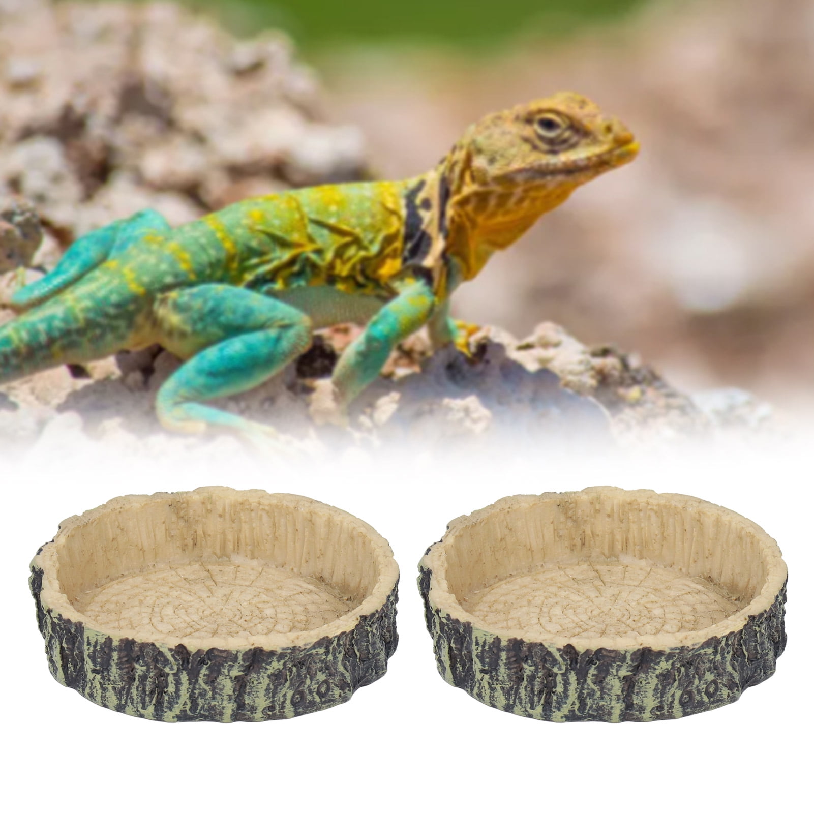Lizard Food Bowl Wear Reptile Water Dish for Small Pet Walmart