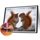 thumbnail image 1 of Cuadros Decorativos 5D DIY Diamond Painting Kits Ardilla Full Round Drill Wall Decor Art Crafts Set DQrwqpou Nuevos Originales, 1 of 9