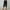 Black, variant on SEMPAI Pants for Women Culottes Cropped Solid Plus Size Pants Summer Pants Slim Simple Solid Plus Size Plus Size for Womens Plus Size Pants Celebrate