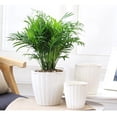 thumbnail image 4 of maceta de flores de plástico ondulado helado maceta de flores suculentas l blanco Sunnimix Self Watering Flower Pot, 4 of 8
