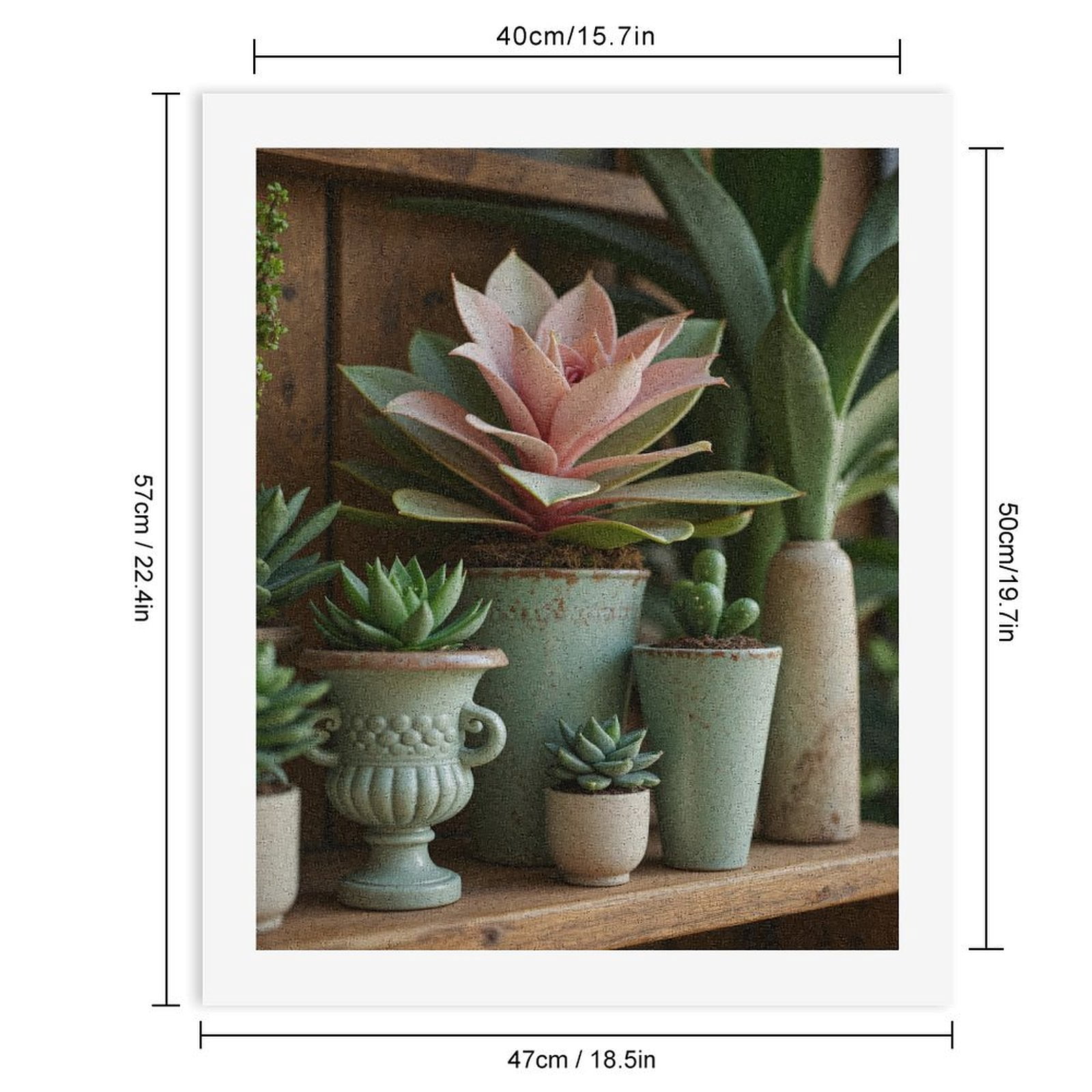Paint by Numbers Kit for Adults, Succulents In Green Ceramic Pots Paint by Numbers, Easy Paint by Numbers Kit for Adults Beginner, DIY Adult Paint by Number Kits on Canvas, Home Decor