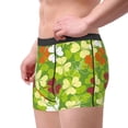 thumbnail image 2 of Pofeuu St. Patrick's Day3 Print Men’s Boxer Briefs, Moisture-Wicking Underwear, Regular,Trunk-XX-Large, 2 of 5