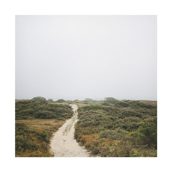 Laura Marshall 'Off the Beaten Path' Canvas Art