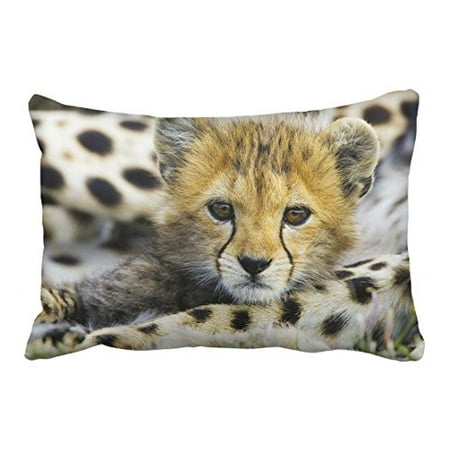 Custom Made Pillow Covers WinHome Decorative Cheetah Clear Pattern Custom Pillow Case Cushion Cover Cheetah Clear Size 20x30 inches Two Side ()