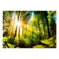 thumbnail image 3 of Tiptophomedecor Landscape Wallpaper Wall Mural - Forest Hideout, 3 of 4