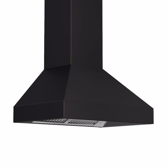 ZLINE 30 in. Designer Series Wall Mount Range Hood (8667B-30)