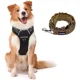 thumbnail image 1 of Arnes Para Perro Grande, Chaleco Ajustable + Correa Talla M, 1 of 5