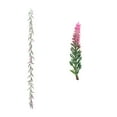 thumbnail image 2 of xaoyunyn Artificial Garland for Spring and Summer Decorations Suit for Indoor and Outdoor Decor,Weddings Home Accents, 2 of 6