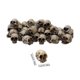 thumbnail image 2 of 40Pcs Simulation Skull Model Toys Modern Mini Skull DIY Halloween Decoration Funny Model Toys Colle, 2 of 5