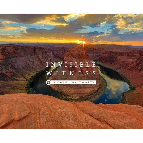 Invisible Witness, (Hardcover)