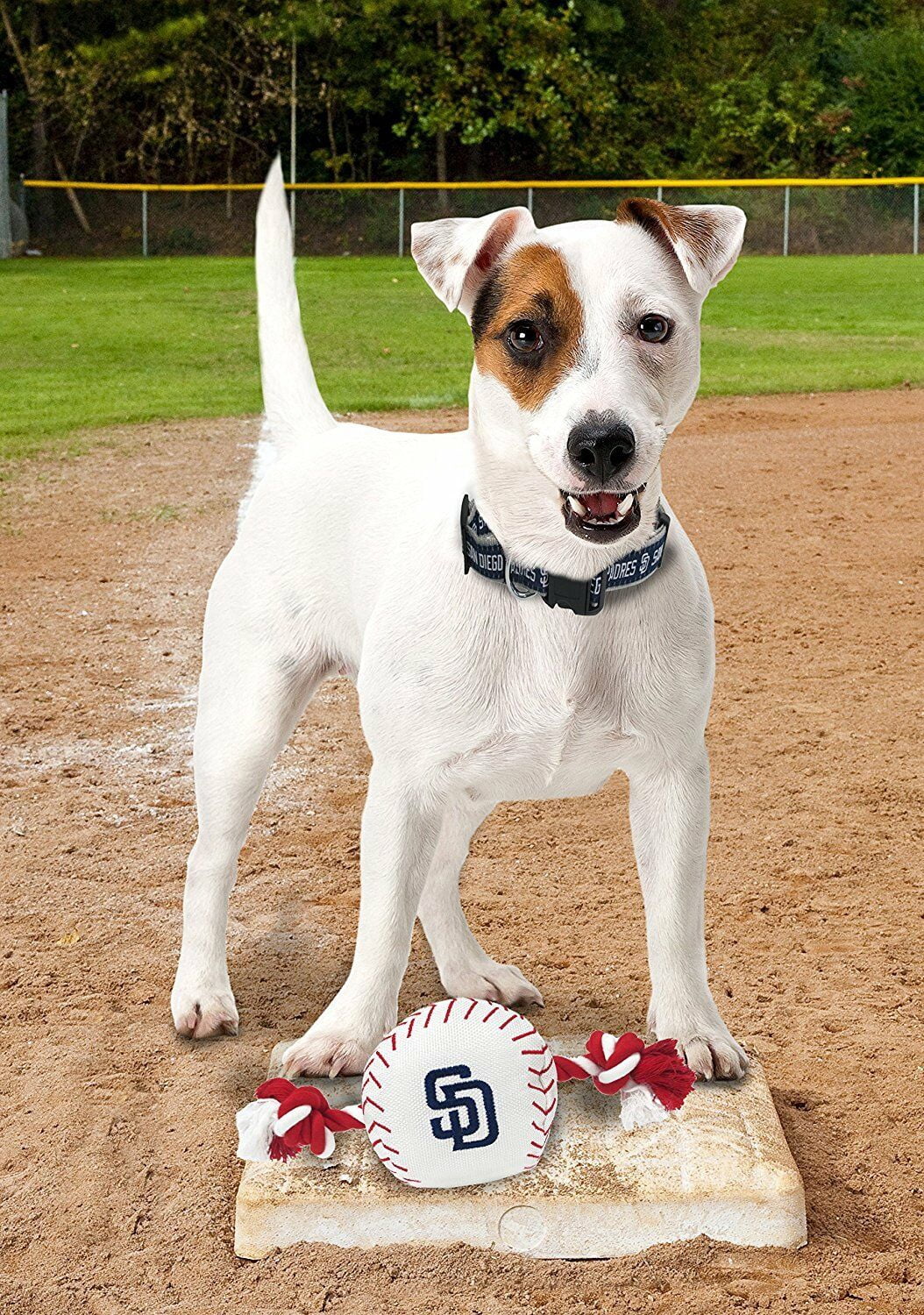 Pets First MLB San Diego Padres Nylon Baseball Rope Tug Toy, MLB Licensed, Heavy Duty and Durable Toy