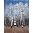 thumbnail image 2 of Art.com Cobalt Birches II Art Print by Tim OToole, 12" x 16", 2 of 4