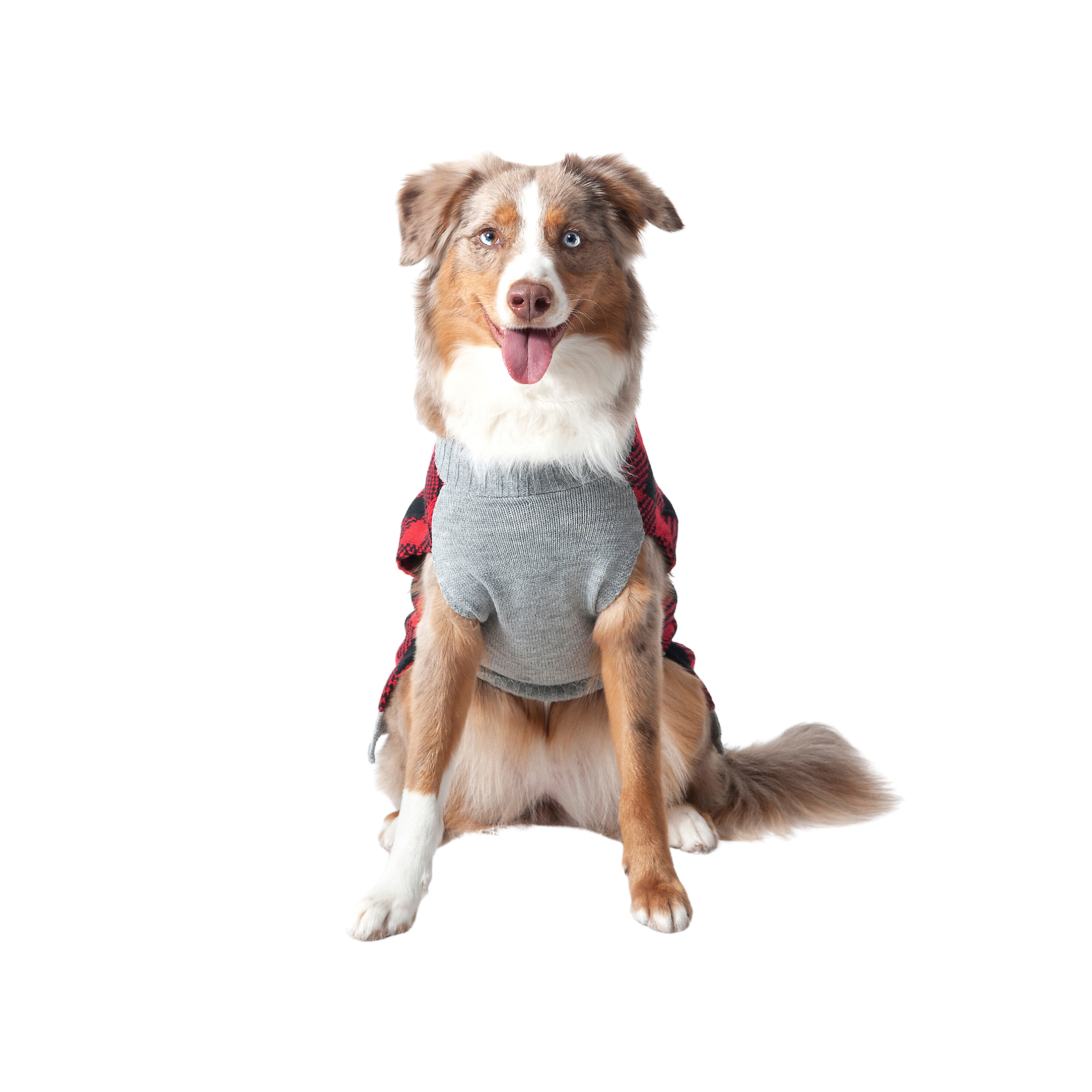 Vibrant Life Winter Dog Clothes Buffalo Check Plaid Sweater, Extra Large