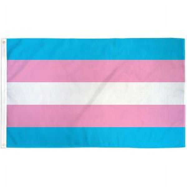 3x5 Aromantic Pride Flag 3x5ft with Grommets LGBTQIA Aro