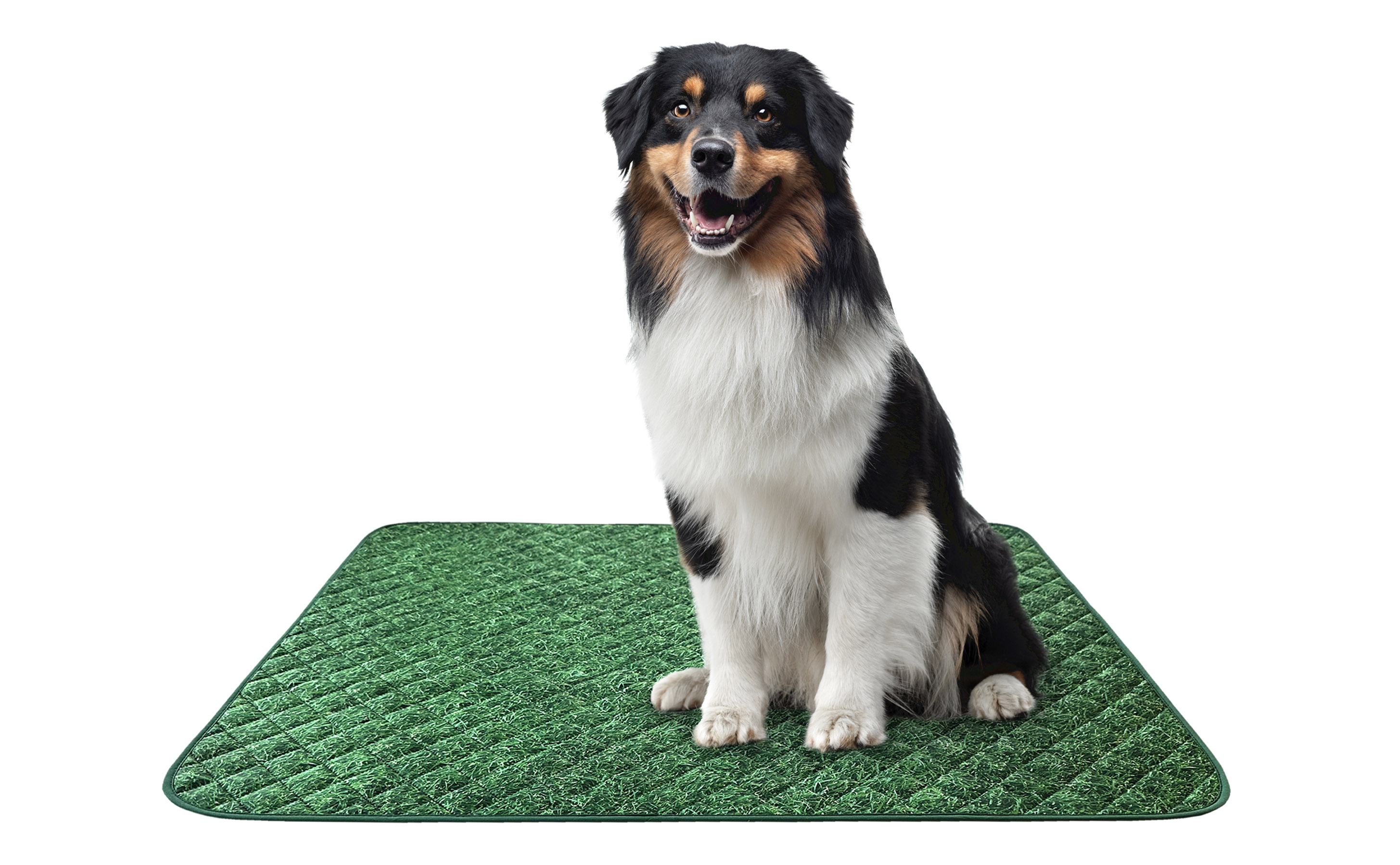 PawLyfe Dog Pee Pads, Reusable Puppy Pads, Pet Training Pads, Large Dog Pee Pad, Waterproof Pet Pads for Dog Bed Mat, Whelping Pads, Two 30"x36" Pads with Printed Grass Design