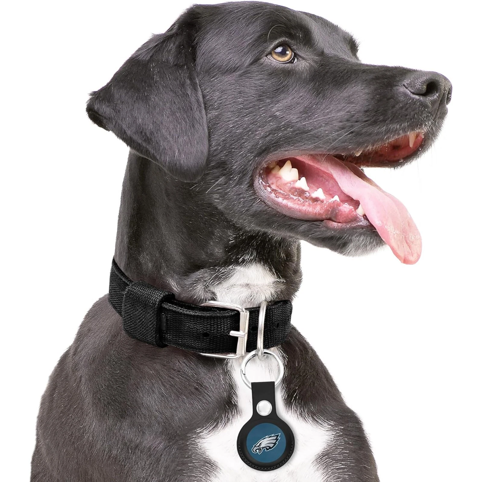 Pets First NFL Leather Keychain Apple Air Tag Holder for Dogs & Cats Airtag Case