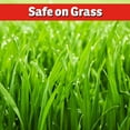 thumbnail image 5 of I Must Garden Armadillo Repellent: 32 oz Hose End Concentrate, 5 of 6