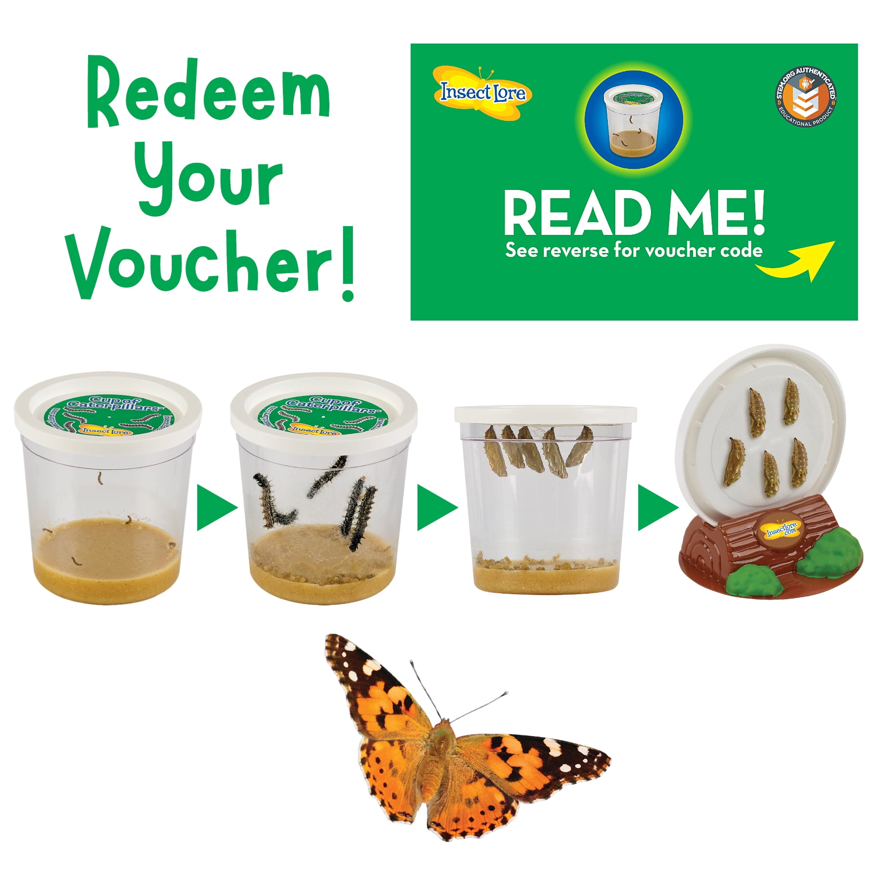 Caterpillar Kit + free delivery - Butterfly Adventures